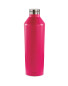 Pink Insulated Hydration Bottle