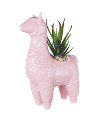 Pink Llama Pot Plant