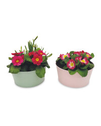 Primrose Bowl Planter