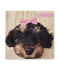 2 Pack Birthday Card - Puppy