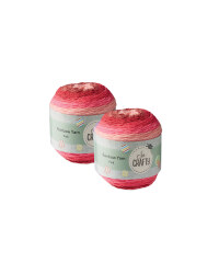 Rainbow Pink Yarn 2 Pack