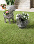 Gardenline Rattan Effect Dog Planter - Grey