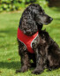 Red Pet Collection Mesh Pet Harness