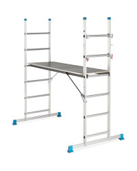 Scaffold and Ladder System