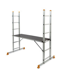 Scaffold and Ladder System