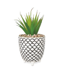 Scale Patterned Pot Plant