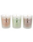 Scentcerity Spa Candles 3-Pack