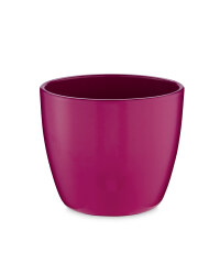 Small Shiny Ceramic Pots 15cm - Cyclamen