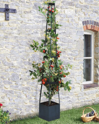 Smart Garden Gro-Belisk