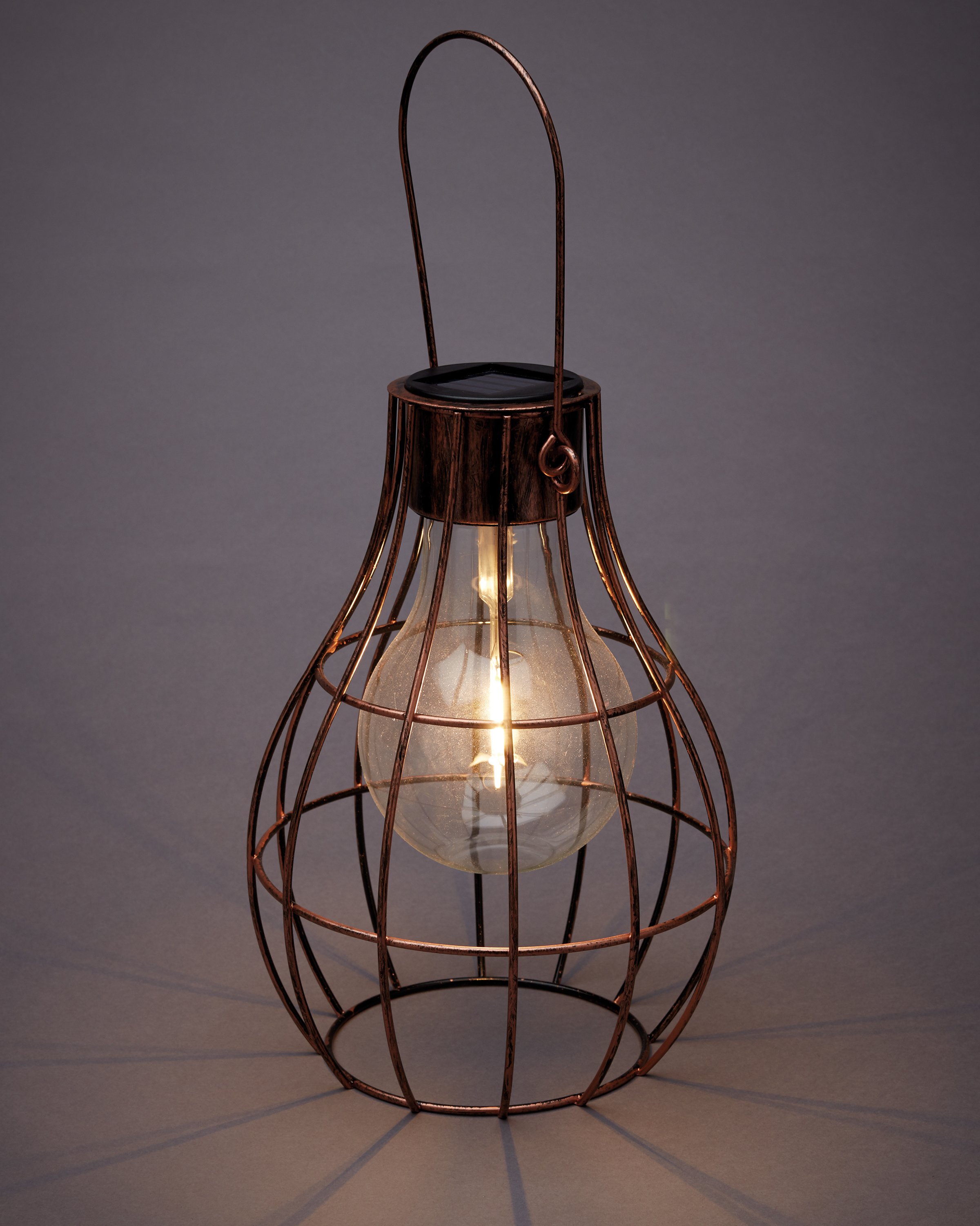 Solar Caged Light Bulb Lantern Aldi Uk