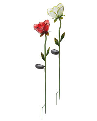 Solar Rose Flower Light