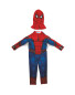 Spiderman Fancy Dress