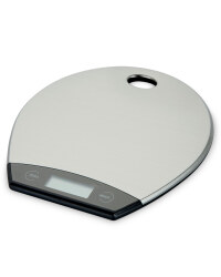 Stainless Steel Flat Scale