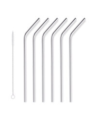 Stainless Steel Straws 6 Pack