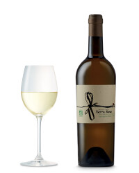 Terra Sana Organic Sauvignon Blanc