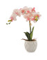 White Pot Artificial Pink Orchid