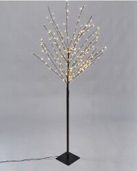 Wispy Black Twig Tree 1.5m