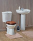 Wood Design Toilet Seat