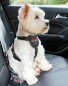 X-Small/Small Dog Seat Belt Harness