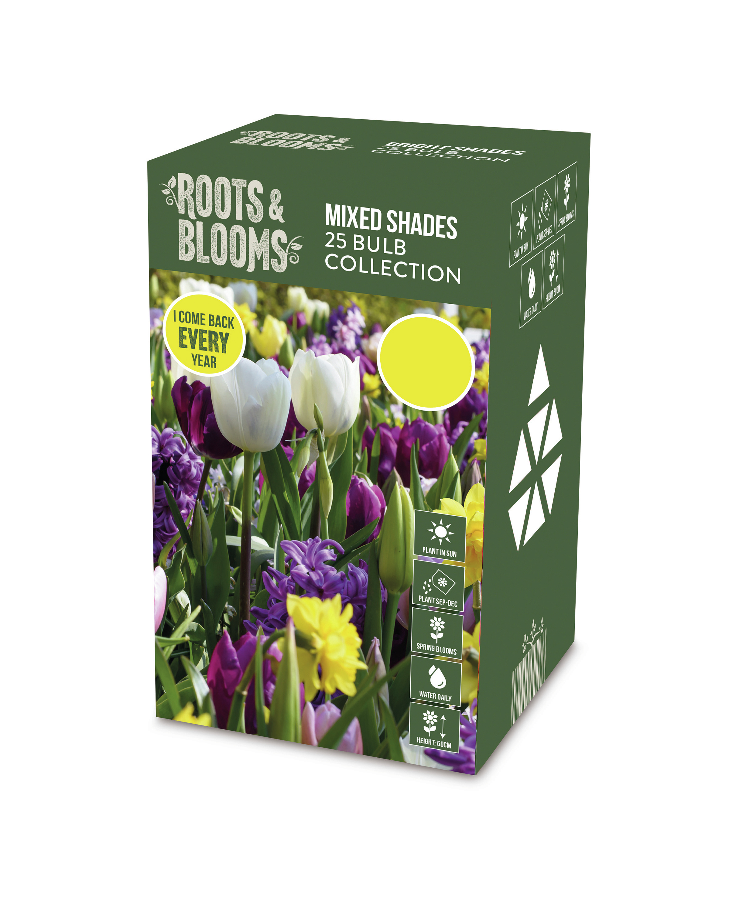 Roots & Bloom Spring Bulbs ALDI UK
