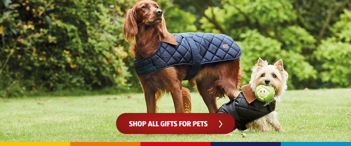 Shop All Gifts For Pets