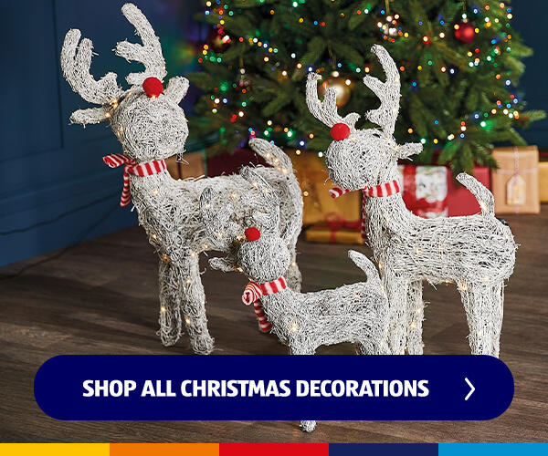 Shop All Christmas Decorations