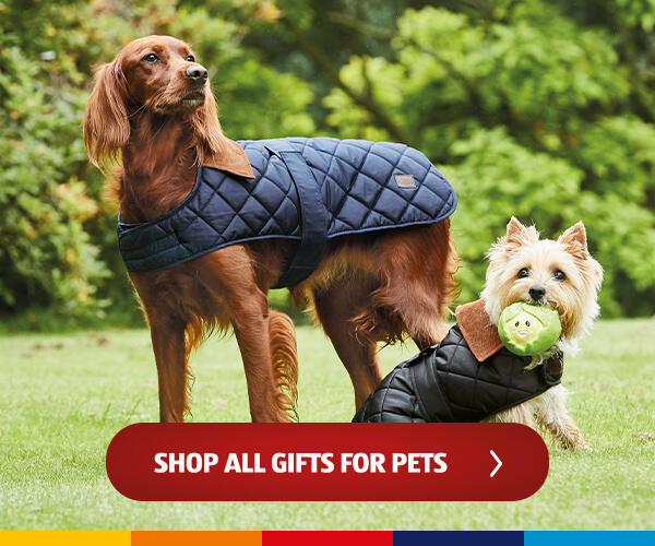 Shop All Gifts For Pets