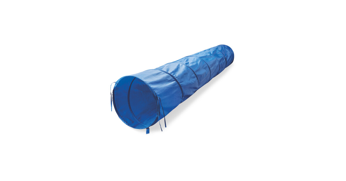 Aldi agility set Clearance