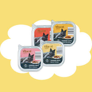 Aldi pet products Clearance