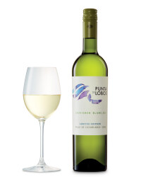 Casablanca Chilean Sauvignon Blanc