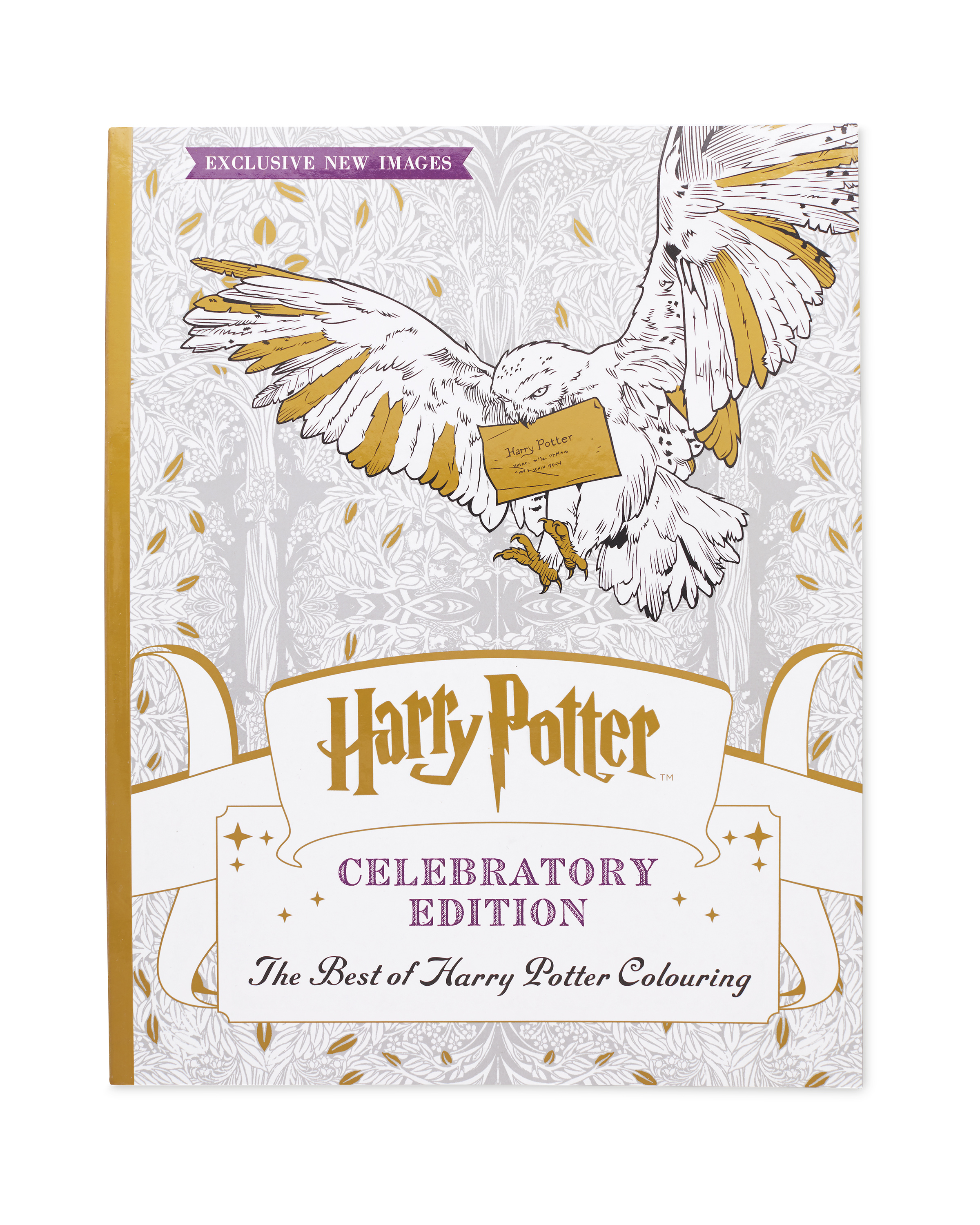 Harry Celebratory Colouring Book ALDI UK