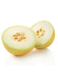 Galia Melon