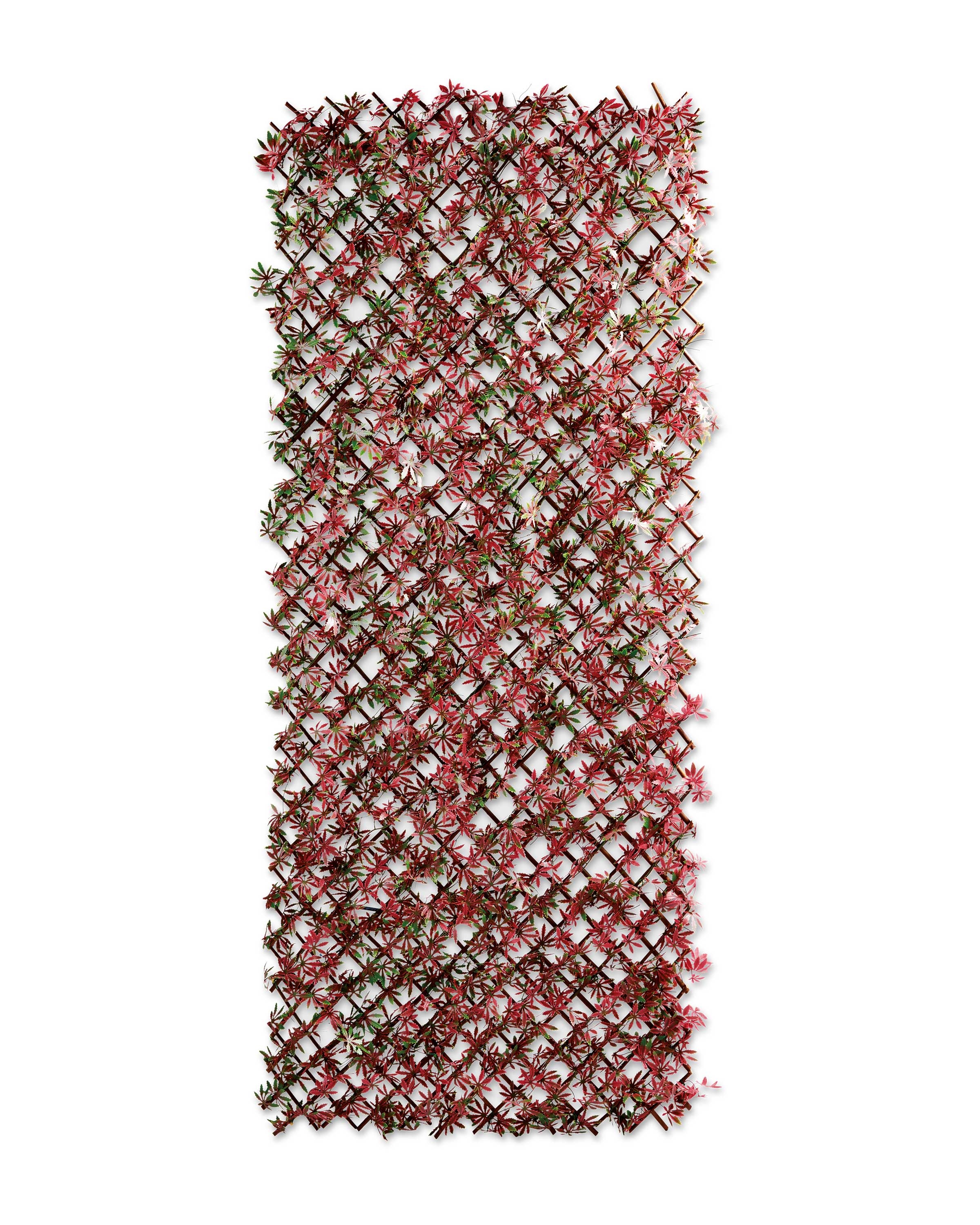 Expanding Acer Leaf Trellis ALDI UK