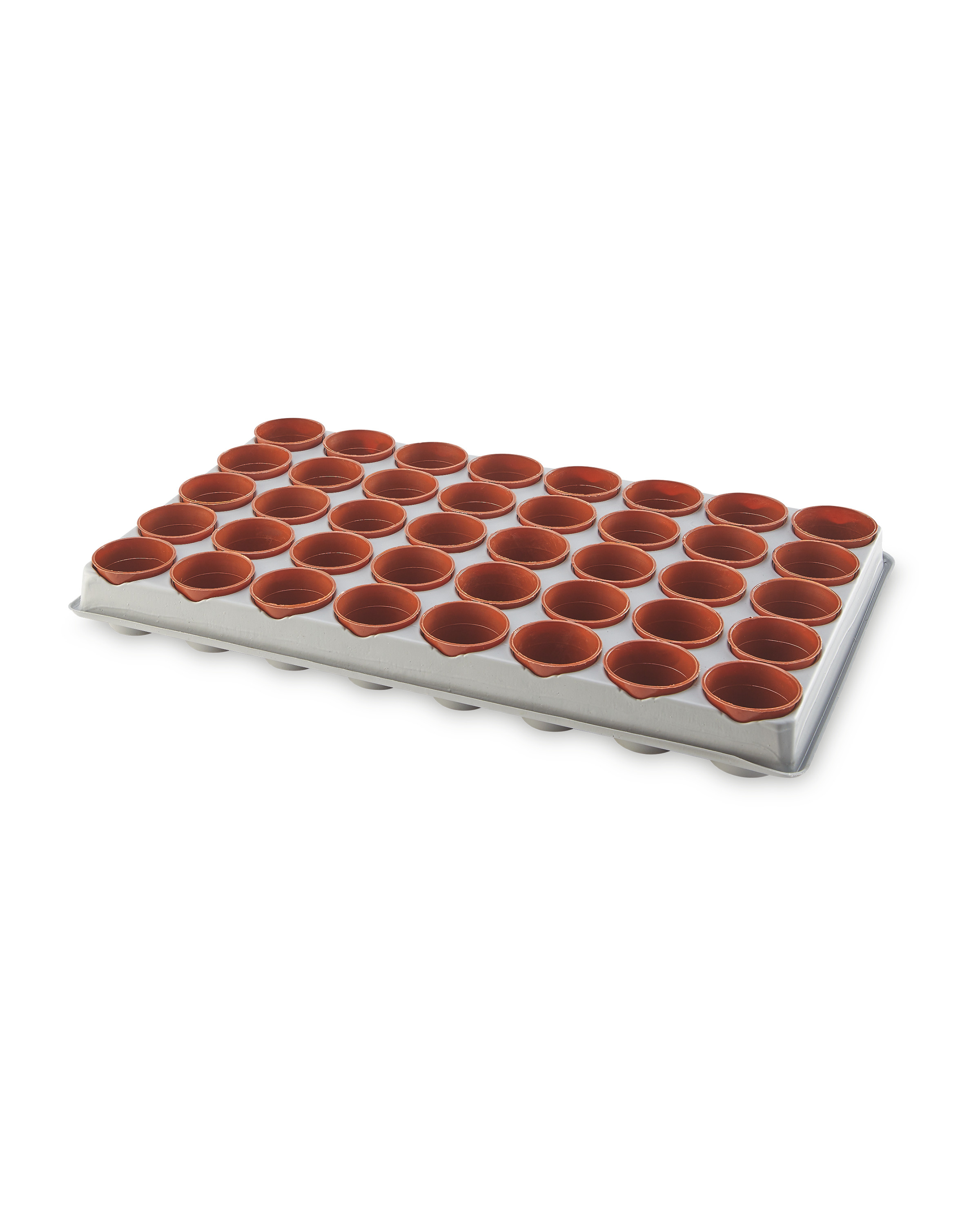 Gardenline Seed & Cutting Tray ALDI UK