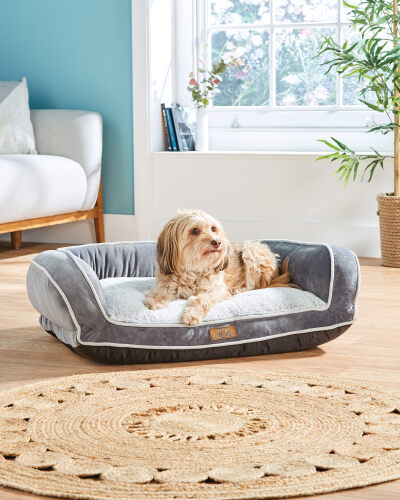 Aldi dog sofa Clearance