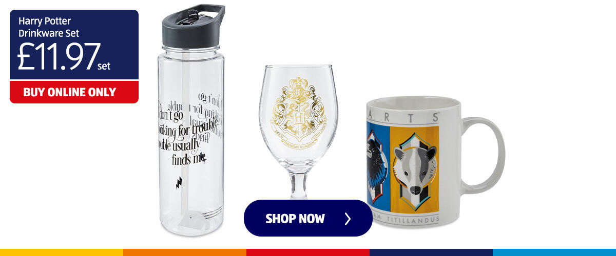 Harry Potter Drinkware Set