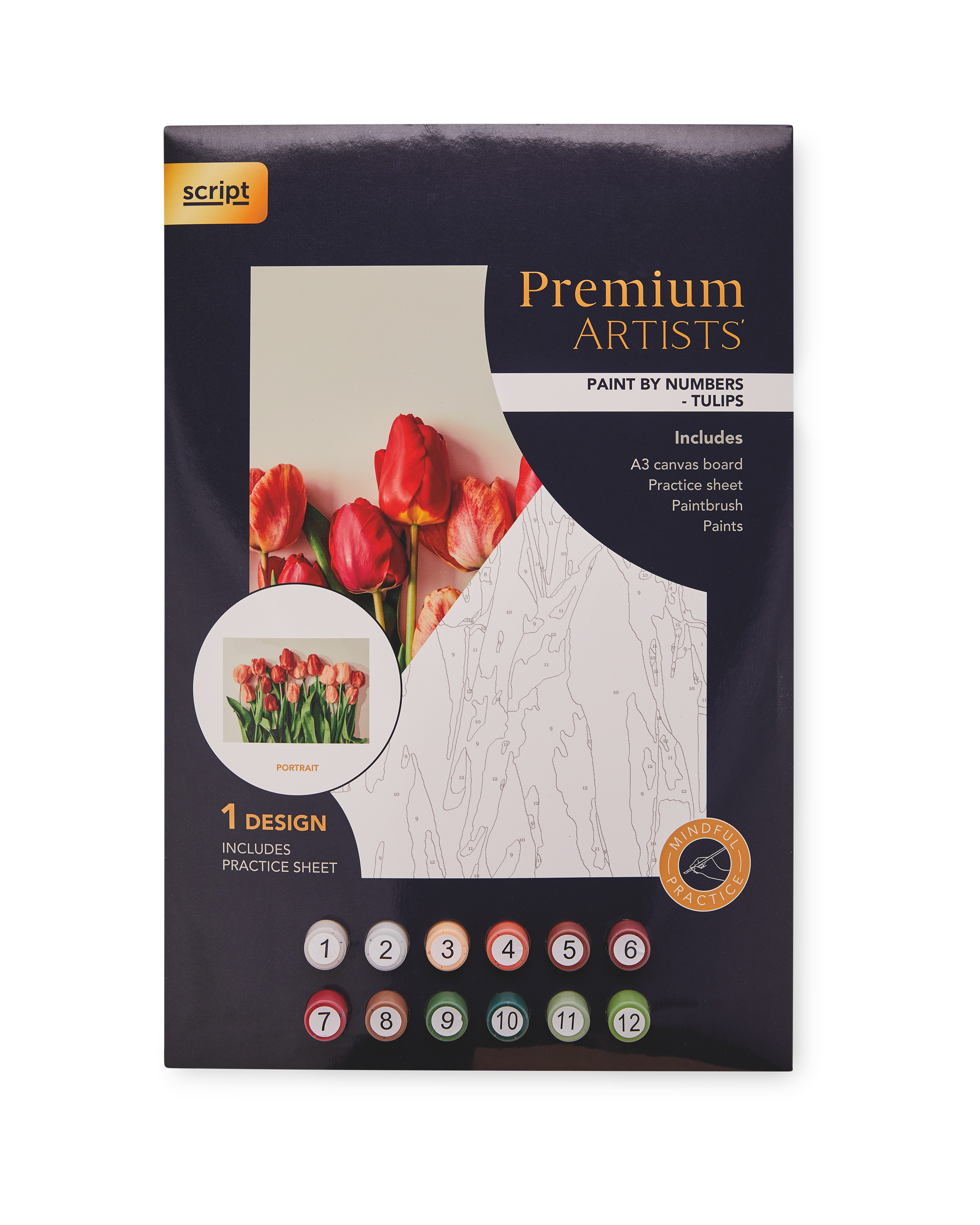 Tulip Paint By Numbers Set ALDI UK