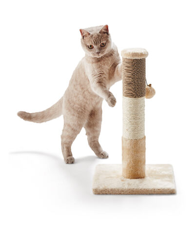 Cardboard cat scratcher aldi Clearance