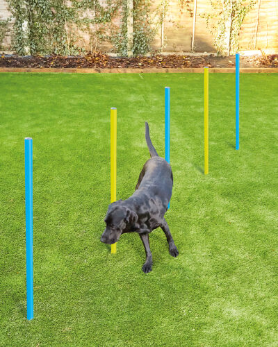 Aldi agility set Clearance