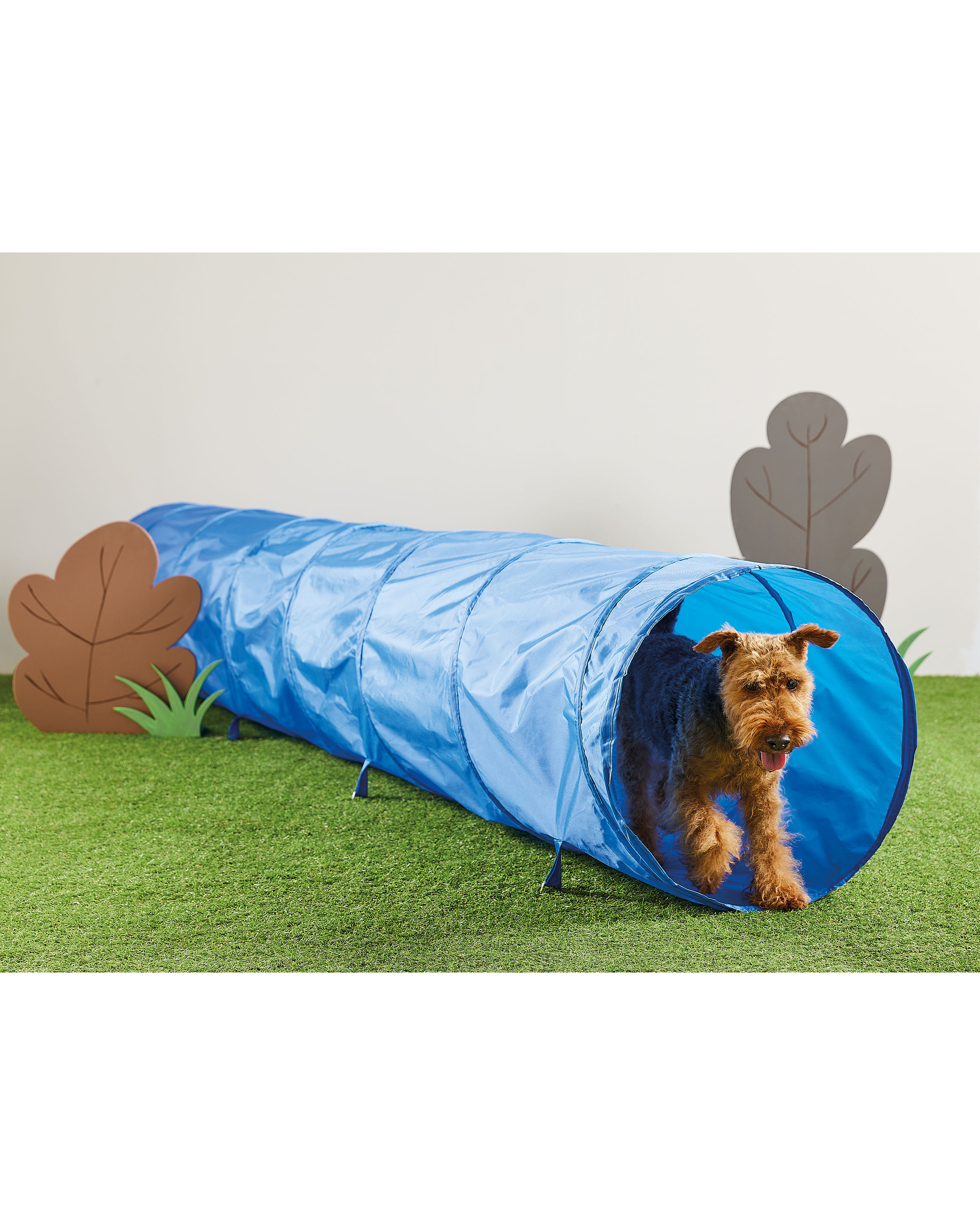 Pet Collection Tunnel Agility Set - ALDI UK