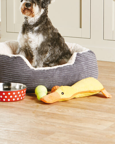 Aldi dog toys Clearance