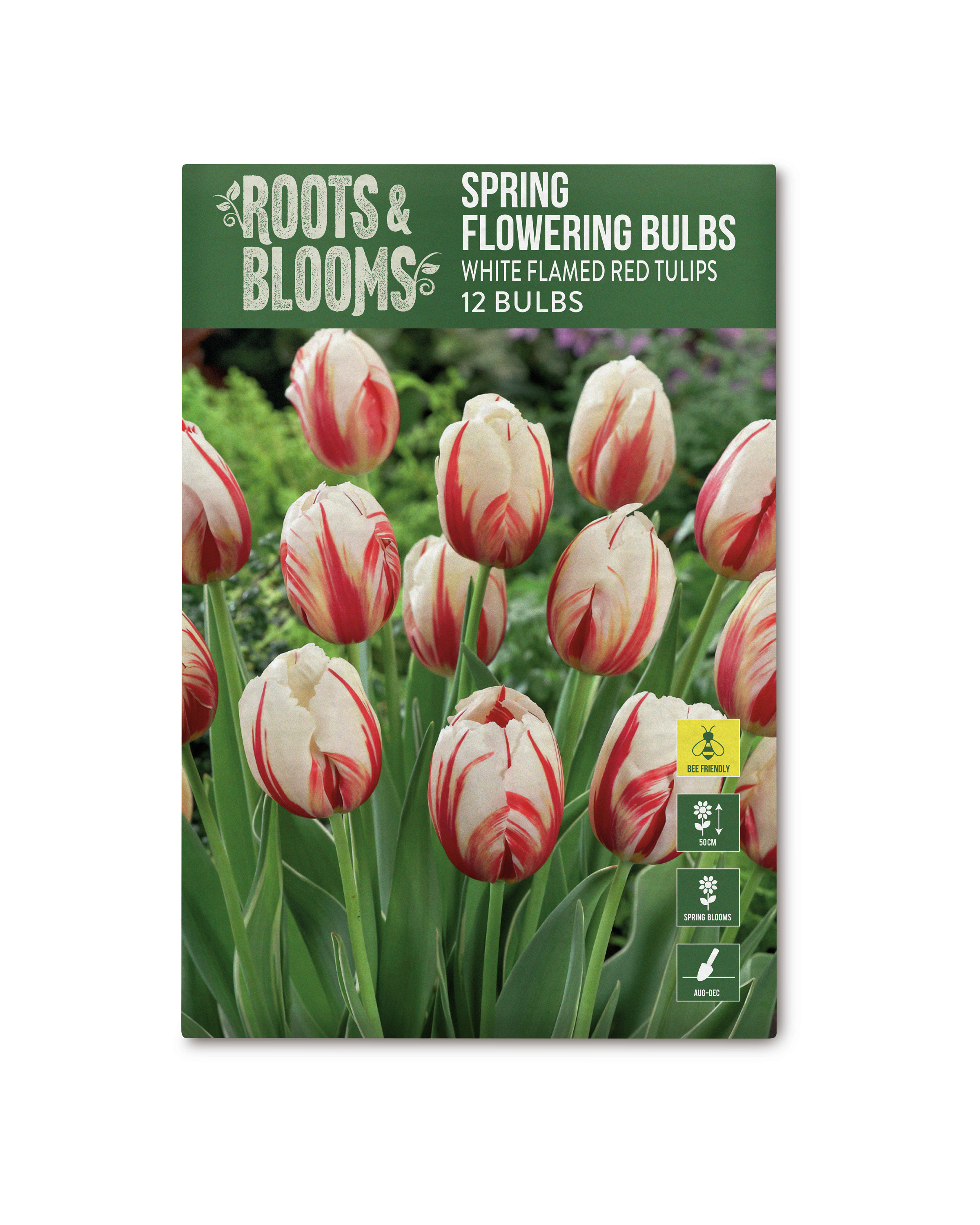 Spring Flowering Bulbs ALDI UK