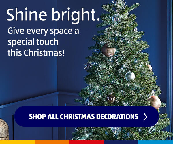 Shop All Christmas Decorations