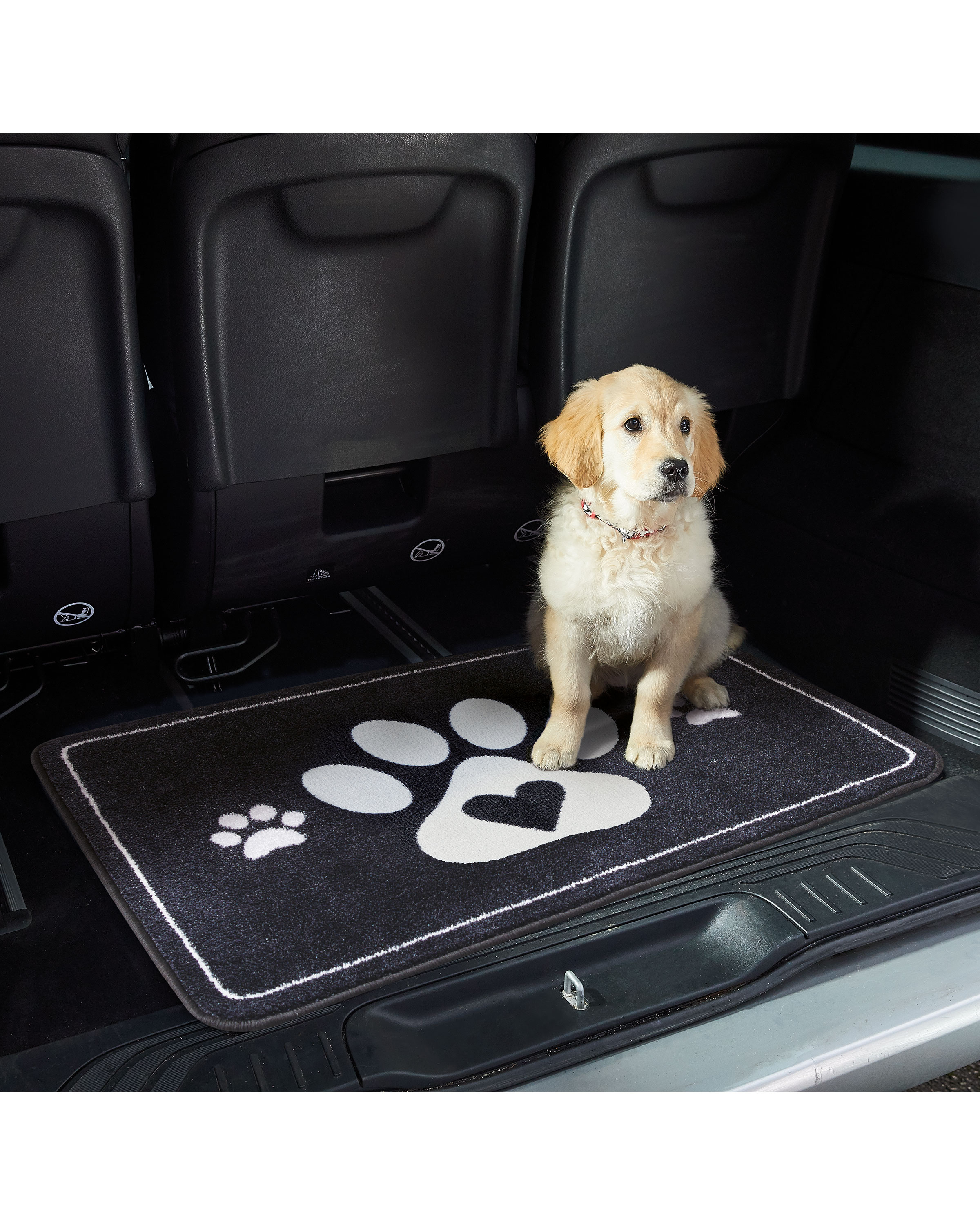 Washable Paw Pet Boot Mat ALDI UK