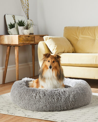 Aldi outdoor dog bed Clearance