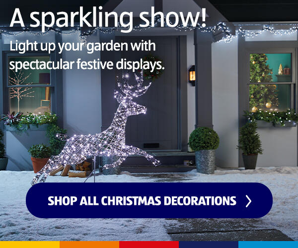 Shop All Christmas Decorations